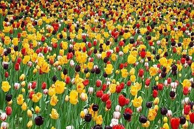 支持4人对战《高尔夫之家2》今夏登陆多平台